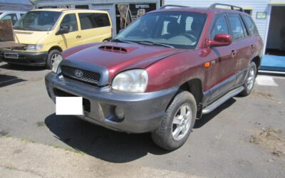 Hyundai SantaFe (01.03-06.01)