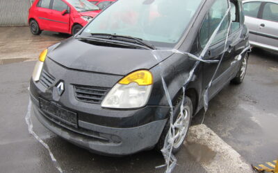 Renault Modus (04.09-08.03)