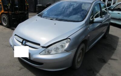 Peugeot P 307